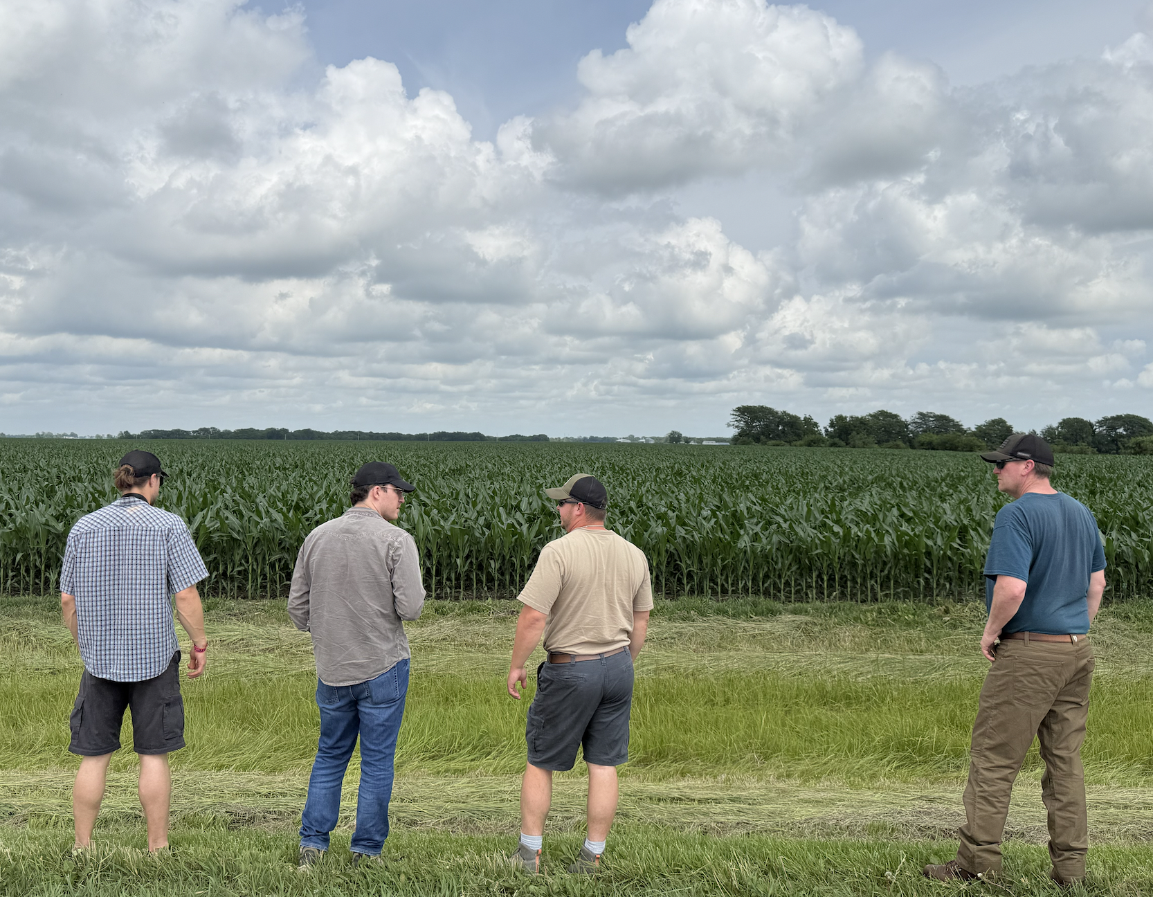 Technology and automation solutions