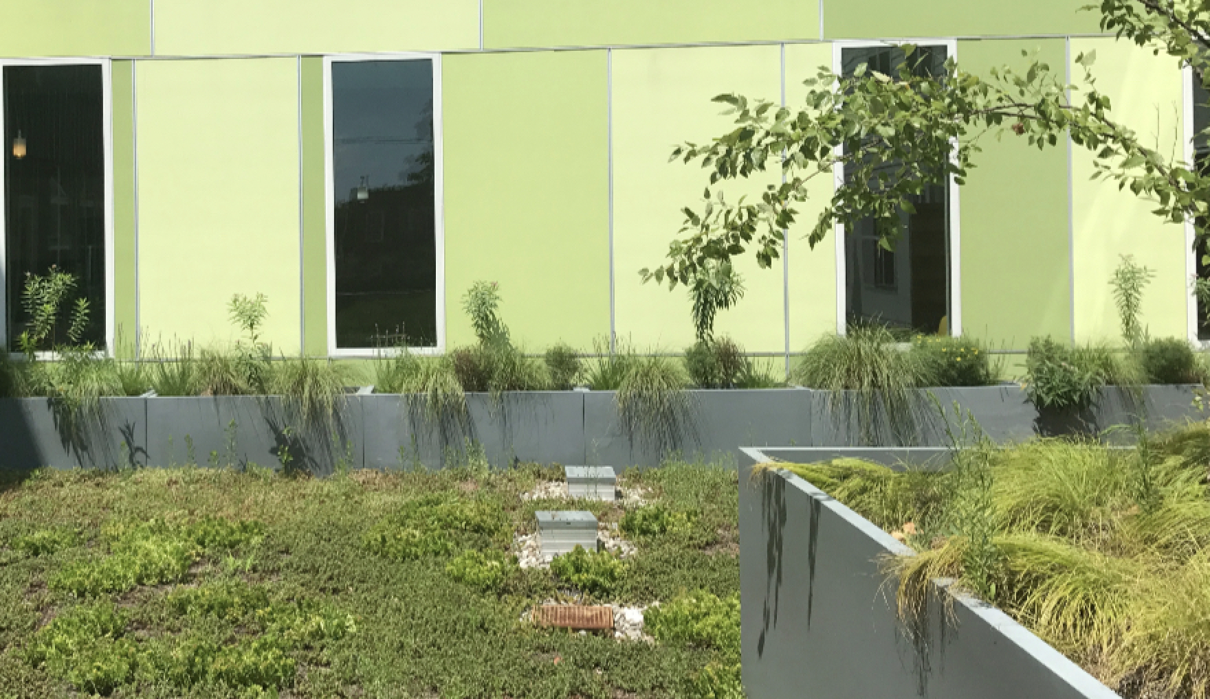 PLANTGROUP team and mission